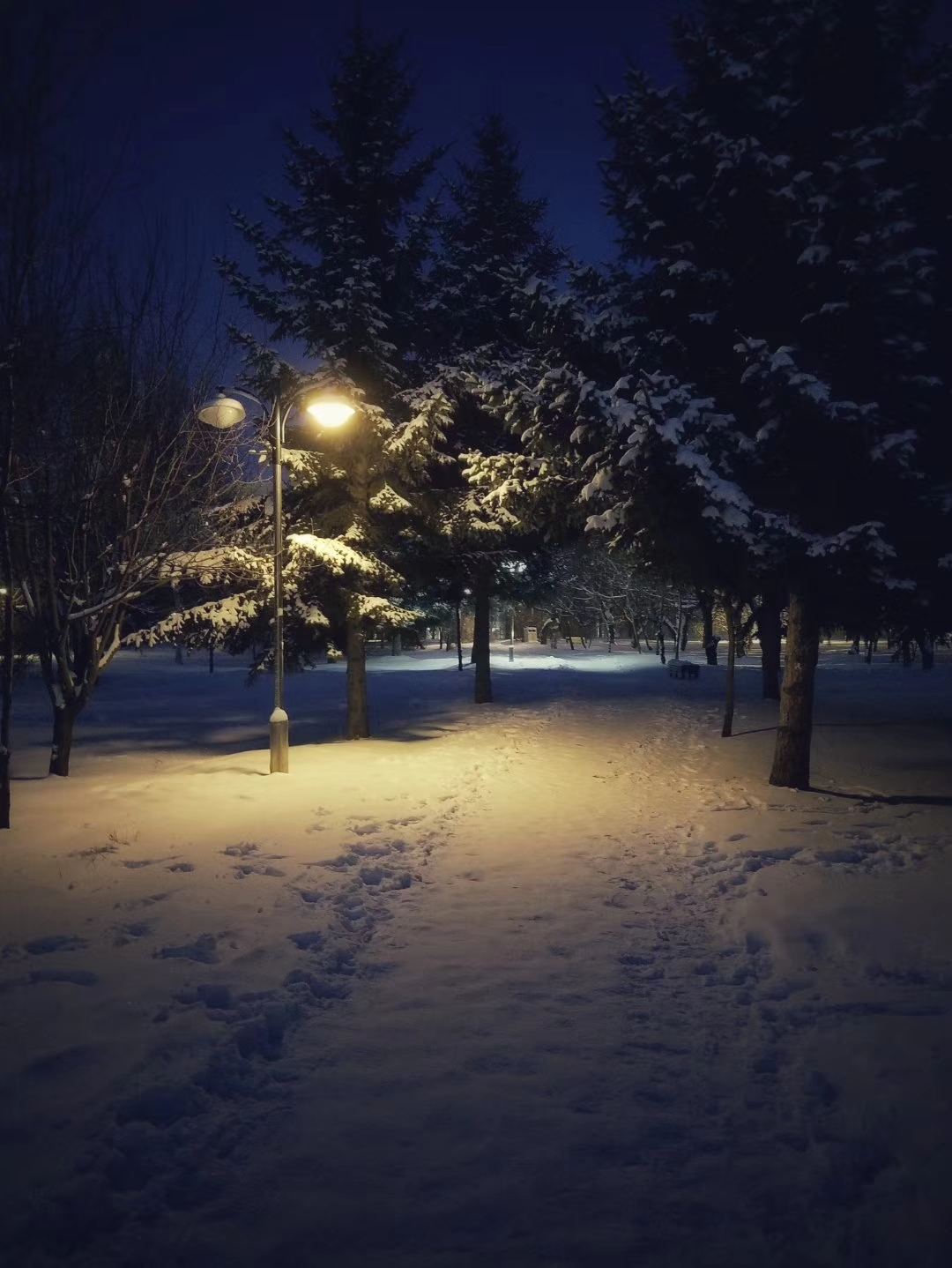 雪夜小路