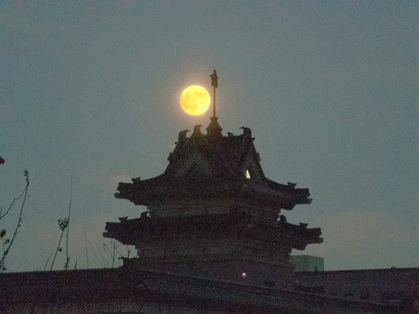 南农中秋